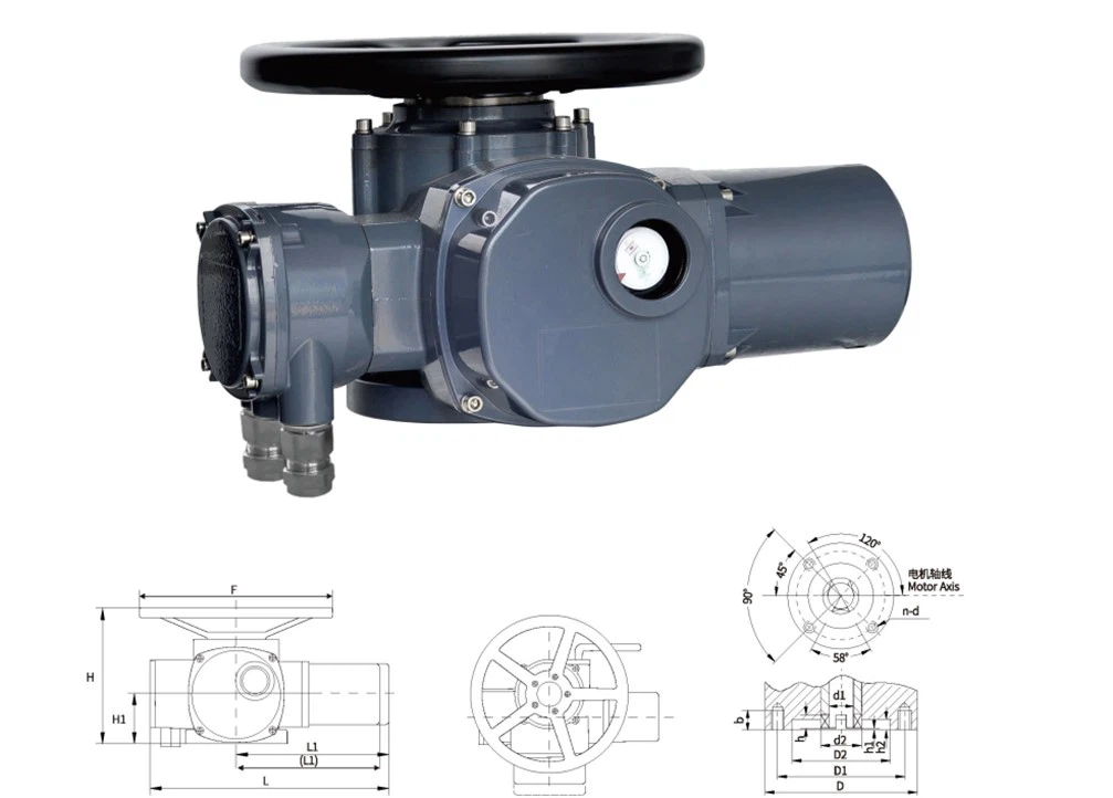 Electric Actuator Electric Actuator